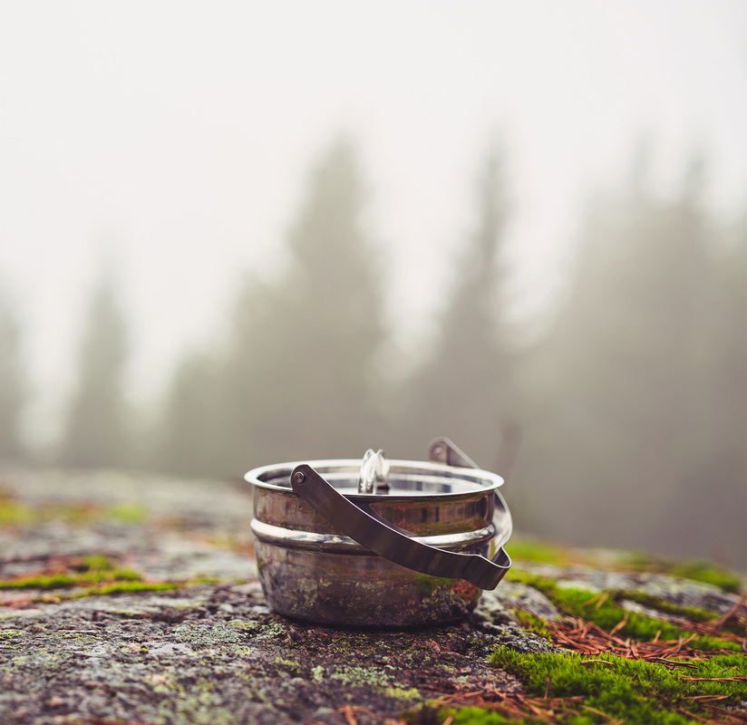 Pot with lid, 2.3 L Stainless steel